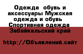 Одежда, обувь и аксессуары Мужская одежда и обувь - Спортивная одежда. Забайкальский край